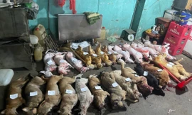 TPHCM: Đột kích 'hang ổ' của băng trộm chó 