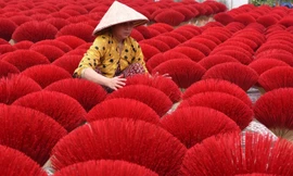 Làng nghề làm nhang gần trăm tuổi ở TPHCM tất bật vào vụ Tết