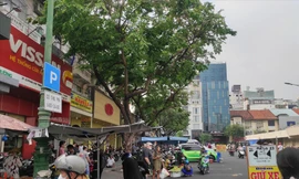 Một trường hợp 464 lần ‘xù’ tiền phí đỗ xe dưới lòng đường ở TPHCM