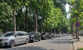 TPHCM tăng cường phạt nguội giao thông, các tuyến đường nào nhiều phương tiện vi phạm?