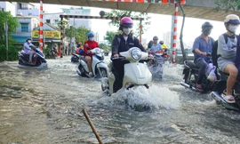 TPHCM khẩn trương ứng phó đợt triều cường giữa tháng 11