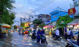 TPHCM đón đỉnh triều cường cao nhất, vượt năm ngoái 10cm 