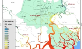 Độ mặn các sông, rạch ở TPHCM đạt đỉnh vào giữa tuần này 