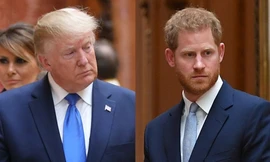 Nguy cơ của Harry khi ông Trump trở lại Nhà Trắng