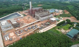 'Vật vã' như điện rác