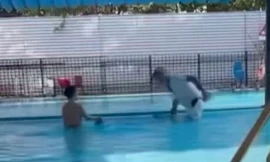 Bản tin 8H: Nguyên nhân người đàn ông dìm cháu bé xuống bể bơi ở Hà Nội