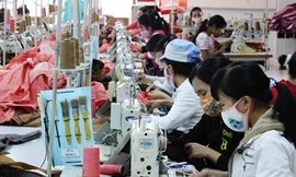 Công nhân ngành may đối mặt nhiều loại bệnh do công việc