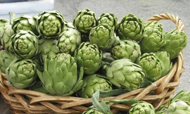 Atisô ngăn ngừa và điều trị ung thư