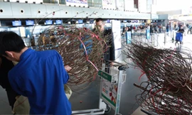 Vắng khách, hàng không kiêm buôn đào, mai Tết