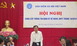 Phó Tổng Giám đốc BHXH Việt Nam Đào Việt Ánh. 