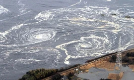 8 nhân viên Viện Hải dương học mắc vùng nước xoáy khi tránh bão