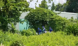 Phát hiện người đàn ông tử vong tư thế treo cổ trong bụi cây 