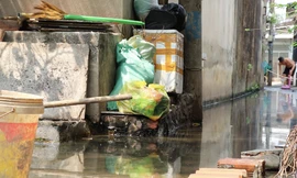 TPHCM: Người dân khốn khổ vì con hẻm 10 năm nước ngập ứ đọng, ruồi muỗi bủa vây 