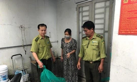 Kỳ đà hoa quý hiếm nặng gần 4,5kg bò vào nhà dân ở TPHCM 