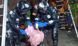 Nín thở xem cảnh sát di dời tổ ong vò vẽ 'khủng' ở khu dân cư