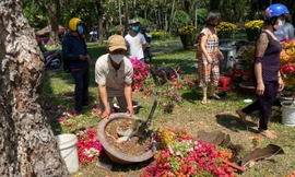 TPHCM: Trưa 29 Tết, tiểu thương cắt bỏ hoa, thu dọn hoàn trả mặt bằng