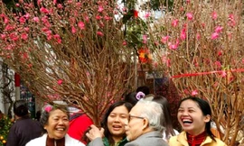 Được nghỉ Tết Nguyên đán tám ngày