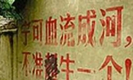 Chồng của sản phụ bị ép phá thai mất tích