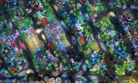 Sắc màu chợ 'chồm hổm' ở Hậu Giang 