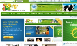 Dairy Vietnam tiếp bước các doanh nghiệp sữa