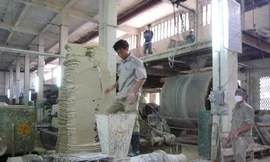 8 triệu lao động di cư từ làng ra phố