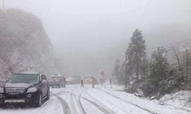 Cận cảnh Sapa tuyết rơi như Châu Âu