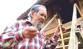 Đàn sáo đại ngàn