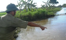 Rủ nhau tắm sông, một học sinh lớp 8 chết đuối