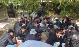 Loạn án treo