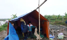 Vợ con ông Vươn, ông Quý dựng lều ở trên nền nhà đã bị san phẳng. Ảnh: Lam Khê