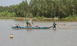 Ảnh chỉ có tính minh họa. Ảnh: Thanh Vũ(TTXVN)
