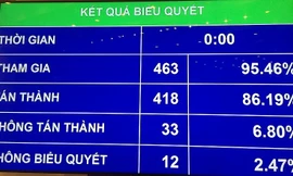 Quốc hội biểu quyết thông qua Luật sửa đổi, bổ sung các luật có quy định liên quan đến quy hoạch.
