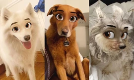 Ứng dụng Snapchat giành riêng cho đại boss