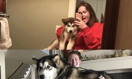 Nếu một ngày, "boss" bỗng trở nên... khổng lồ