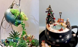 Thế giới thu nhỏ trong ly trà