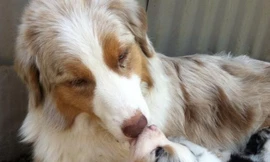 cử chỉ yêu thương