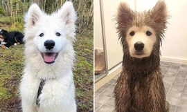 Lợi ích việc tắm bùn