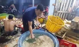 Phát hiện 3 cơ sở ở TPHCM dùng hóa chất để tẩy trắng bắp chuối 