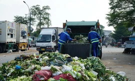 Lên đời thực phẩm bẩn: Hết cảnh người dân đến chợ nhặt 'rác rau quả'