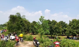 Người phụ nữ tử vong bất thường cạnh con dao, gói thuốc lá ở trong vườn trái cây 