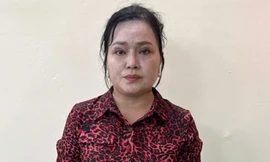 ‘Nổ’ là người nhà của lãnh đạo Chính phủ để lừa 'chạy' dự án điện gió