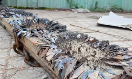 Ớn lạnh với hàng trăm mảnh đinh nhọn rải trên quốc lộ ở TPHCM 