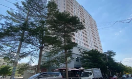 Phát hiện thai phụ tử vong bất thường trên ban công chung cư ở TPHCM