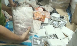 Phát hiện gần 70 tấn nội tạng, thịt động vật không có giấy chứng nhận kiểm dịch ở TPHCM