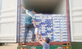 Khởi tố nữ cán bộ hải quan tiếp tay buôn lậu gần 4.200 thùng sữa từ Mỹ vào Việt Nam 
