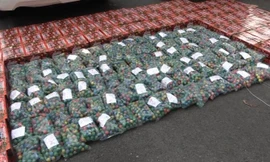 Phá đường dây vận chuyển, buôn bán pháo nổ liên tỉnh 