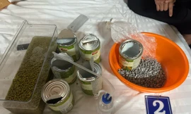 Phá 3 đường dây ma túy xuyên quốc gia, thu giữ 9 khẩu súng 