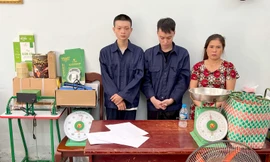 Phá đường dây trồng cần sa ở Đắk Lắk, đóng gói ở TPHCM 