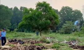 Nam thanh niên tử vong trong tư thế treo cổ ở bãi đất trống