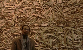 Bức tường xương từ nỗi đau diệt chủng